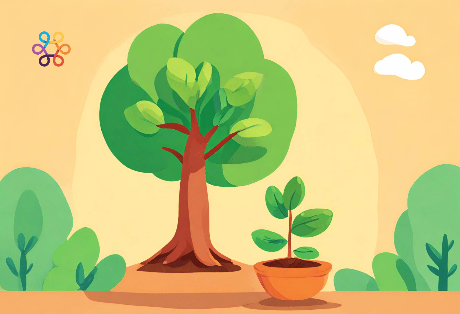 The Adventure and Glory of a Tiny Seed